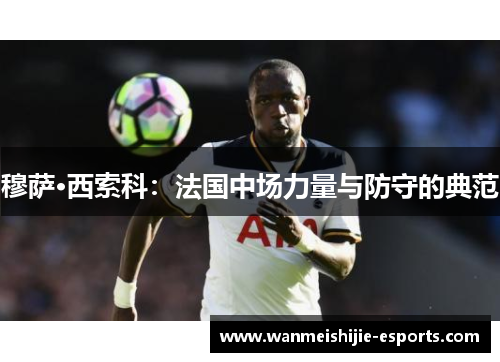 穆萨·西索科：法国中场力量与防守的典范