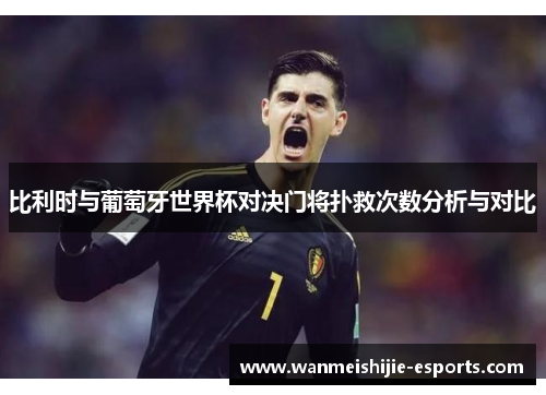 比利时与葡萄牙世界杯对决门将扑救次数分析与对比