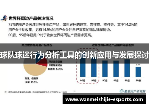 球队球迷行为分析工具的创新应用与发展探讨