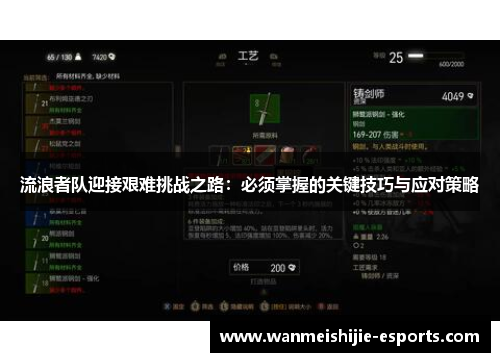 流浪者队迎接艰难挑战之路：必须掌握的关键技巧与应对策略