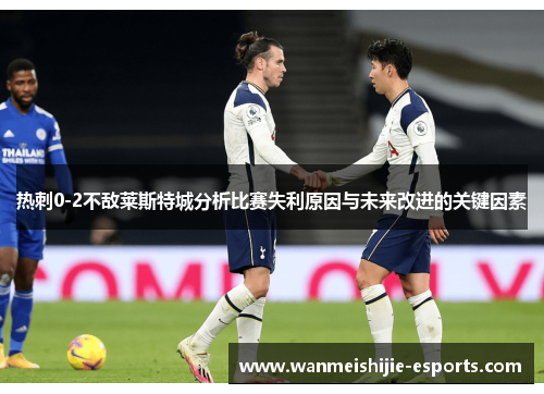 热刺0-2不敌莱斯特城分析比赛失利原因与未来改进的关键因素