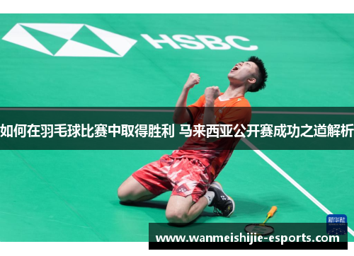 如何在羽毛球比赛中取得胜利 马来西亚公开赛成功之道解析