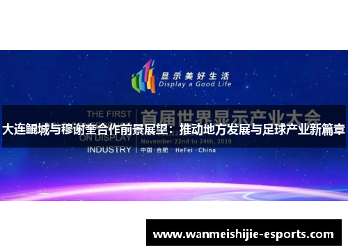 大连鲲城与穆谢奎合作前景展望：推动地方发展与足球产业新篇章