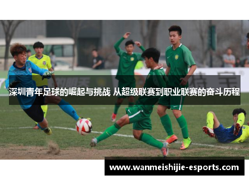 深圳青年足球的崛起与挑战 从超级联赛到职业联赛的奋斗历程