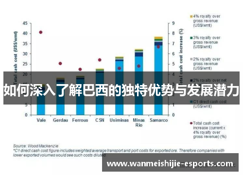 如何深入了解巴西的独特优势与发展潜力