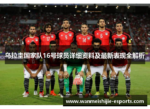 乌拉圭国家队16号球员详细资料及最新表现全解析