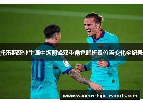 托雷斯职业生涯中场前锋双重角色解析及位置变化全纪录